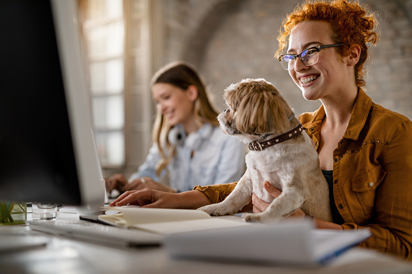 diamonddog woman-with-dog-smiling-in-front-of-computer Google Alerts - A Free Media Monitoring Tool to Keep Marketers in the Know  